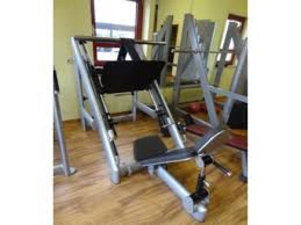 Gym 80 Sygnum 45° Beinpresse